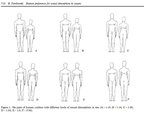 perfect height ratio for couples|Optimal Height Differences in Perfect Couples: What’s。